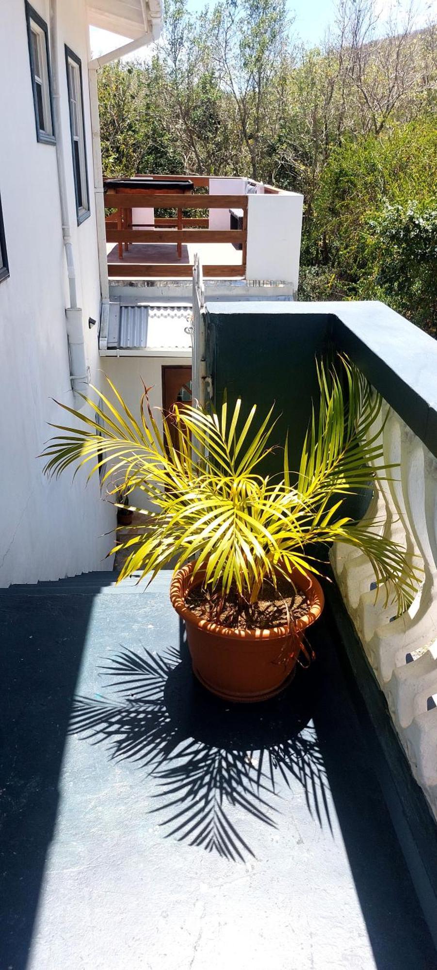 Apartment Joanna Rodney Bay Стая снимка